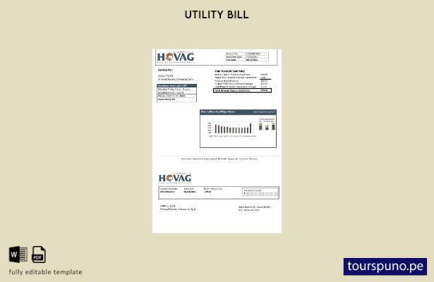 listo para imprimir la plantilla de factura de servicios públicos de electrici 4